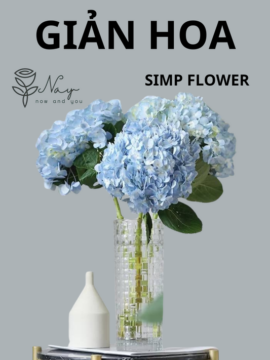 Giản Hoa - Simp Flower